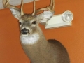 Taxidermy Services