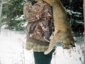 Guided Bobcat Hunts in Northern Wisconsin