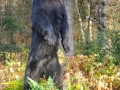 Standing Black Bear Full Mount