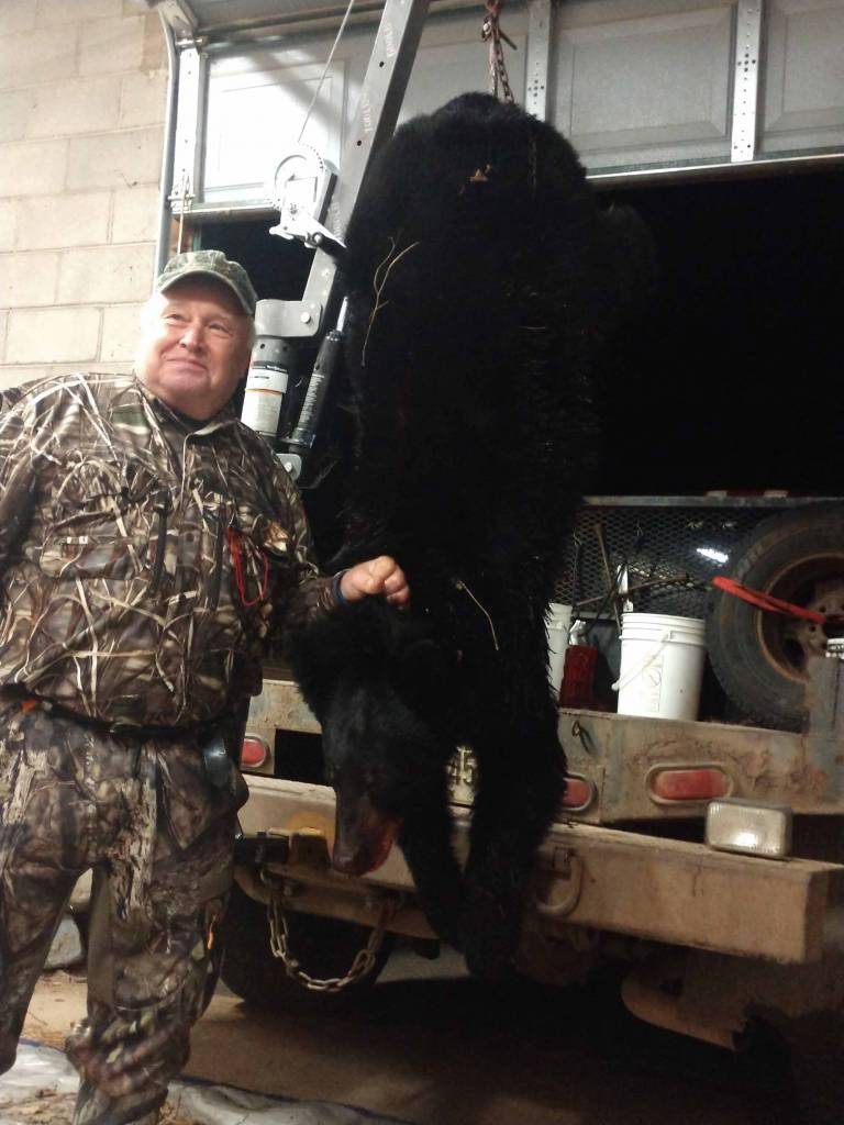 Chequamegon National Forest Black Bear Hunts